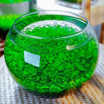 Хидропонна екологична стъклена бутилка за настолен декор – микро пейзаж с водни растения и семена