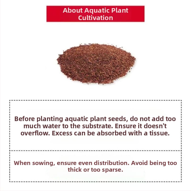 Хидропонна екологична стъклена бутилка за настолен декор – микро пейзаж с водни растения и семена