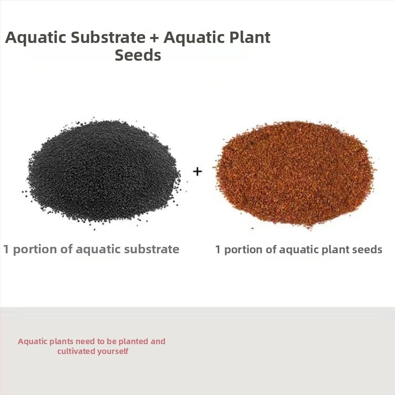 Хидропонна екологична стъклена бутилка за настолен декор – микро пейзаж с водни растения и семена