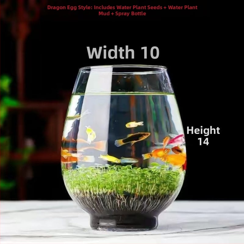 Хидропонна екологична стъклена бутилка за настолен декор – микро пейзаж с водни растения и семена