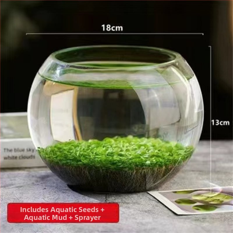 Хидропонна екологична стъклена бутилка за настолен декор – микро пейзаж с водни растения и семена
