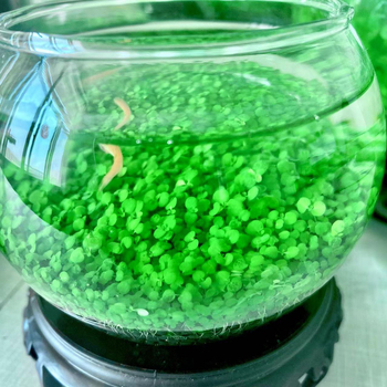 Хидропонна стъклена бутилка – настолен микро ландшафт аквариум с водни растения през четирите сезона; марка Other Homes; материал: магнитни материали