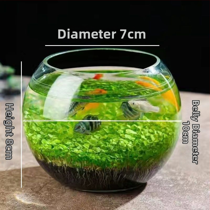 Хидропонна стъклена бутилка – настолен микро ландшафт аквариум с водни растения през четирите сезона; марка Other Homes; материал: магнитни материали