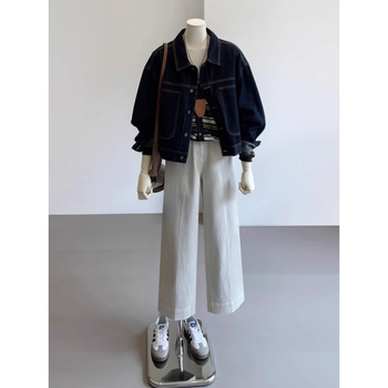 Denim jakna u korejskom stilu, slobodan kroj, polo ovratnik, dugi rukavi, obična duljina, proljeće 2025