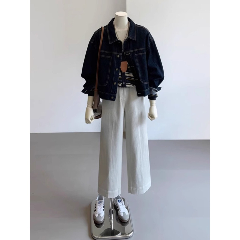 Denim jakna u korejskom stilu, slobodan kroj, polo ovratnik, dugi rukavi, obična duljina, proljeće 2025