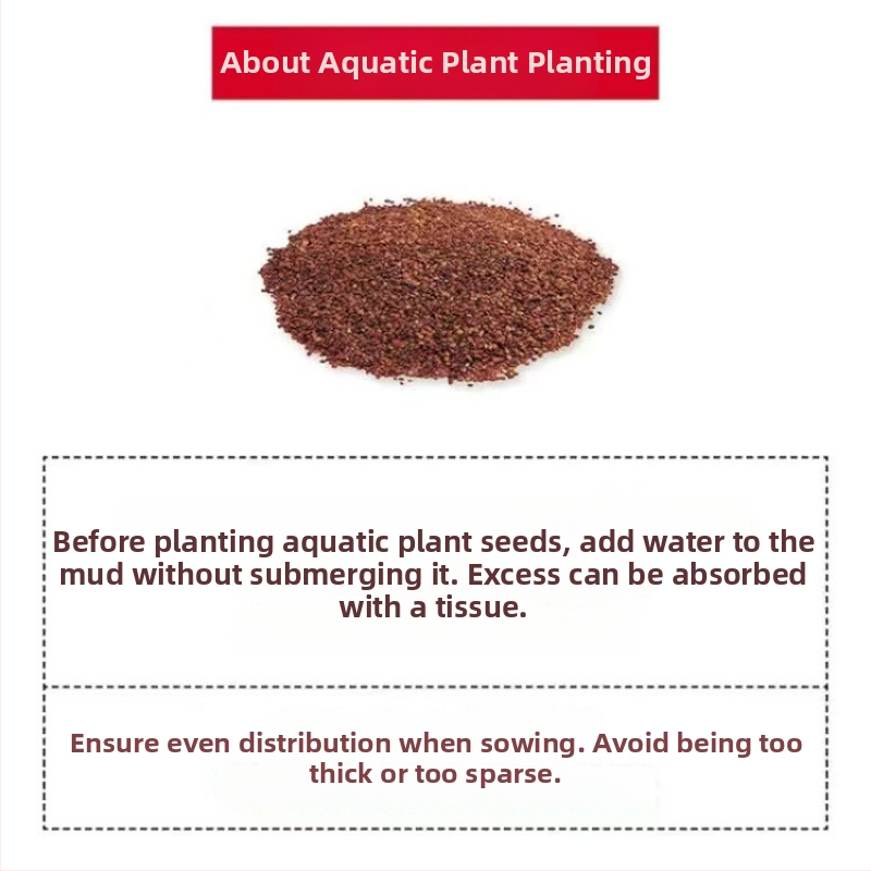 Хидропонна екологична стъклена бутилка за настолен декор с микро ландшафт и семена водни растения