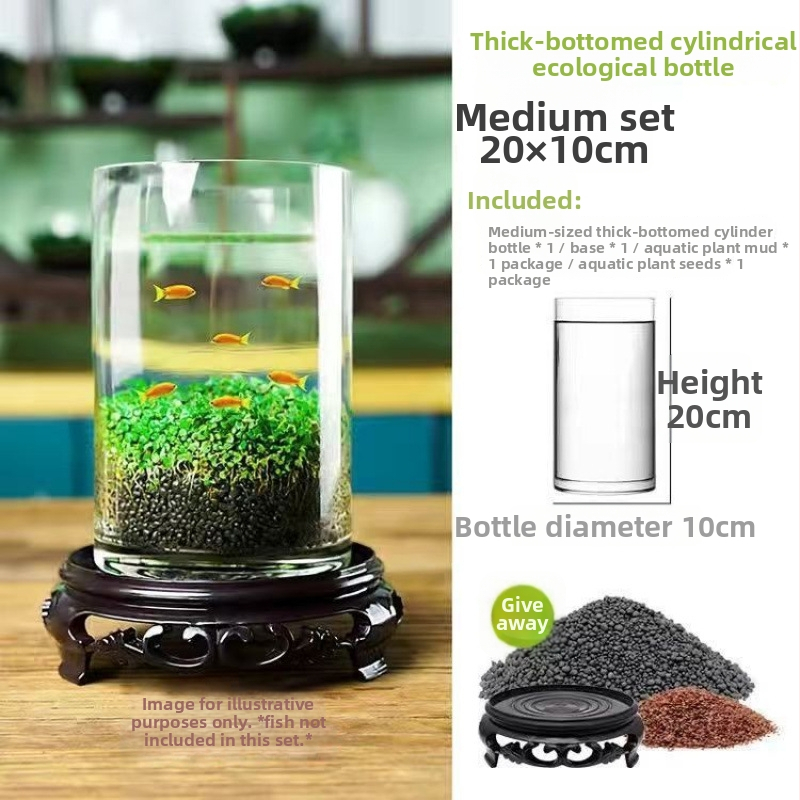 Хидропонна екологична стъклена бутилка за настолен декор с микро ландшафт и семена водни растения