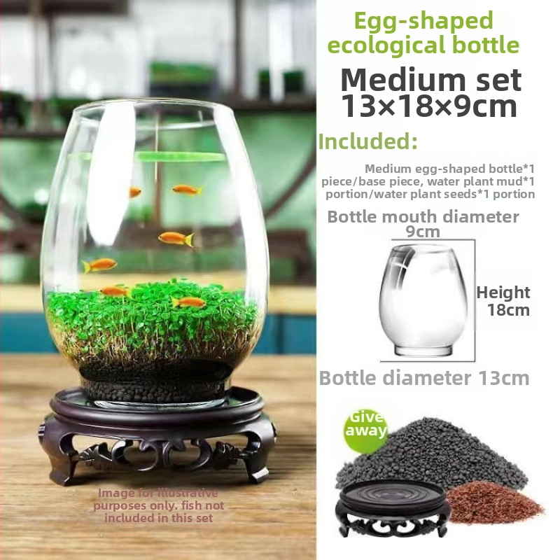 Хидропонна екологична стъклена бутилка за настолен декор с микро ландшафт и семена водни растения