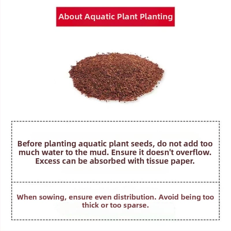 Hidroponska staklena boca za stolnu ukrasu — mikro krajolik akvarij s vodnim biljkama, četiri godišnja doba i sjemenkama biljaka (magnetski materijali)