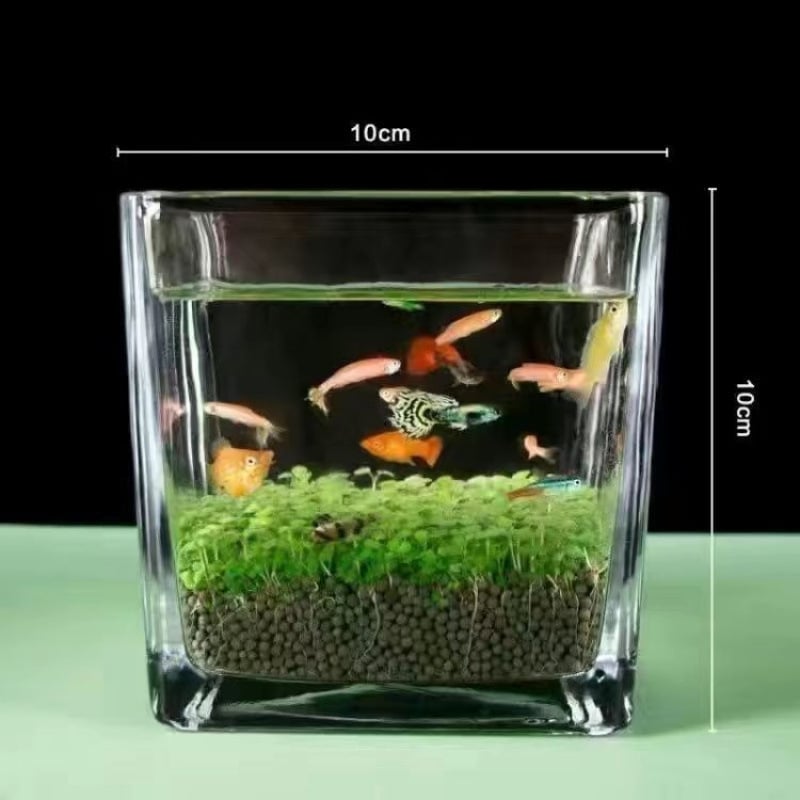 Hidroponska staklena boca za stolnu ukrasu — mikro krajolik akvarij s vodnim biljkama, četiri godišnja doba i sjemenkama biljaka (magnetski materijali)