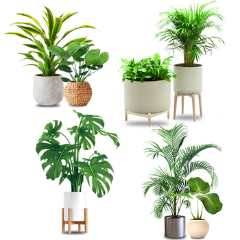 Sticker de perete - model vegetal, autoadeziv, impermeabil, PVC material, decor pentru living