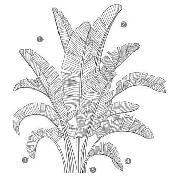 Stickere de perete – plantă tropicală de bananier, PVC, set de 2 bucăți, graffiti pe perete, brand Card dream