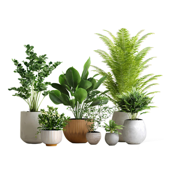 Декоративен стенен стикер - PVC, флорални/растителни мотиви за дневна стая, модерен минималистичен стил, плосък стенен стикер