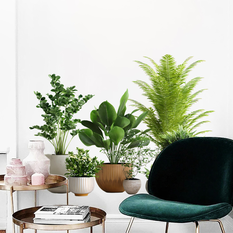 Декоративен стенен стикер - PVC, флорални/растителни мотиви за дневна стая, модерен минималистичен стил, плосък стенен стикер