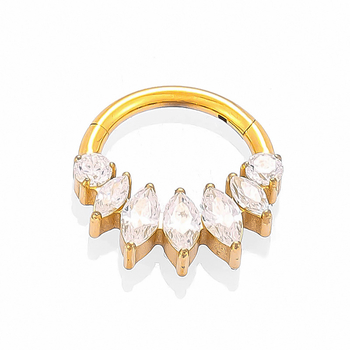 G23 aliaj titan, zircon încrustat, inel nazal închis, unisex, design geometric pește