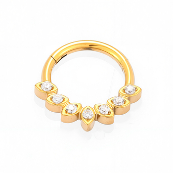 G23 aliaj titan, zircon încrustat, inel nazal închis, unisex, design geometric pește