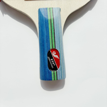 Reket stolnog tenisa, 2 zvjezdice, za učenike i početnike, direktni udarac; donja ploča: Poplar; guma: Anti-glue