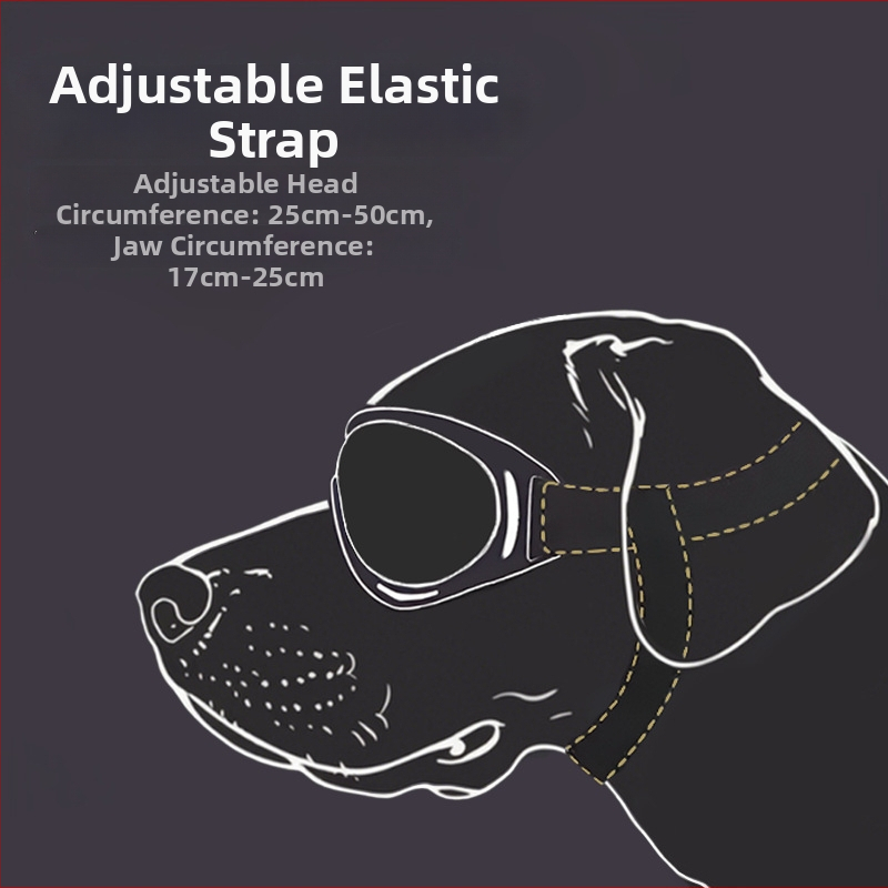 Augintiniams vėjo atsparūs akiniai akims, PC lęšiai, TPU rėmas, universali tinka, kasdieninis stilius — AL891933964780