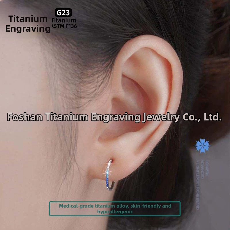 F136 titāna sakausējuma auskari – ģeometriski riņķi, unisex, pulēti ar titāna kristālu