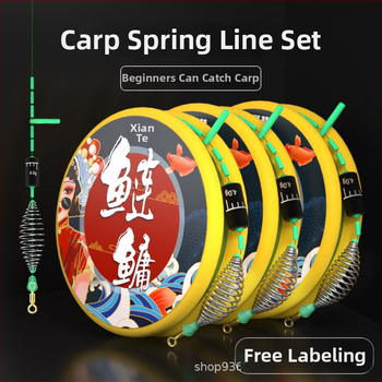 Lingte Glavna linija PE – komplet linije za pecanje s protiv zaplitanja za velike šarane