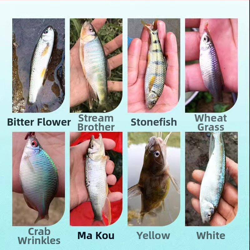 Set linije i udice za potok; najlon nit; duljina: drugo; pogodno za ribolov u potoku