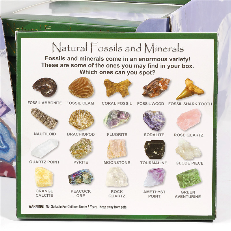 Set mineralnih fosilnih uzoraka, 20 vrsta u kutiji, sirovi kamen, kristalni šljunak, kartonska ambalaža, Arthur Jewelry