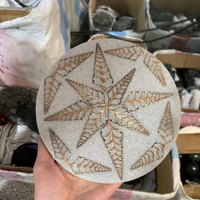 Disc decorativ circular din cochilie naturală fosilă de melc pentru decorul biroului sau al casei; realizat manual; stil simplu și modern