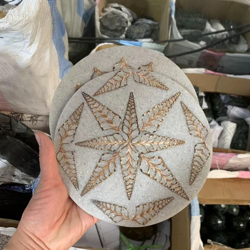 Disc decorativ circular din cochilie naturală fosilă de melc pentru decorul biroului sau al casei; realizat manual; stil simplu și modern