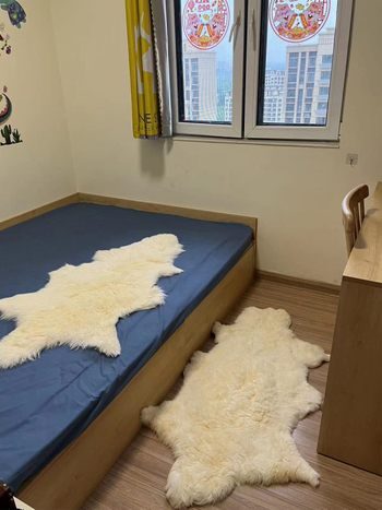 Jastuk za kauč od ovčje vune, minimalistički stil, tip jastuka pad, univerzalna kompatibilnost
