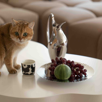 Farfurie pentru fructe din oțel inoxidabil 18/10, minimart, stil lejer lux retro, lansare primăvara 2021