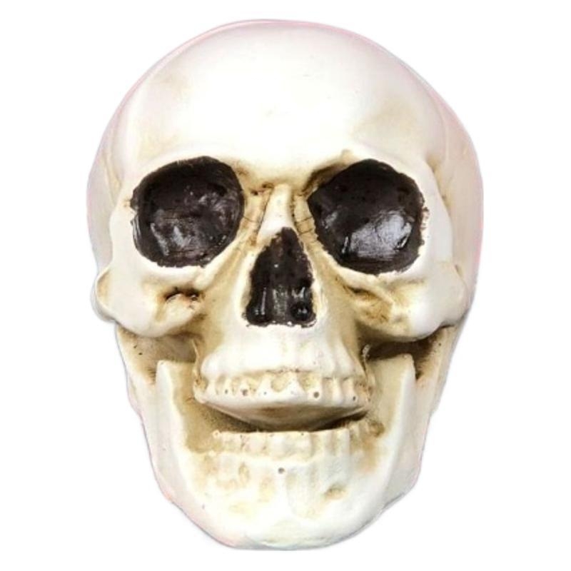 Gyantából készült koponya rekvizítum Halloweenre, Haunted House és bár számára – helyszíni dekoráció