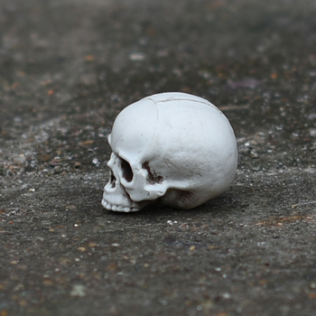 Craniu decorativ pentru scene de casă bântuită – plastic, stil horror, recuzită de scenă