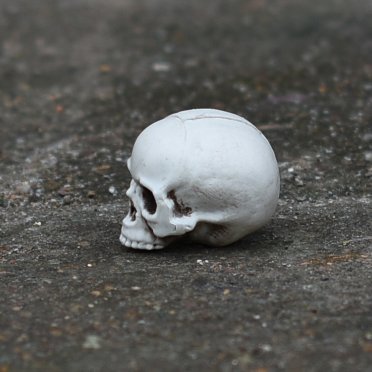 Craniu decorativ pentru scene de casă bântuită – plastic, stil horror, recuzită de scenă