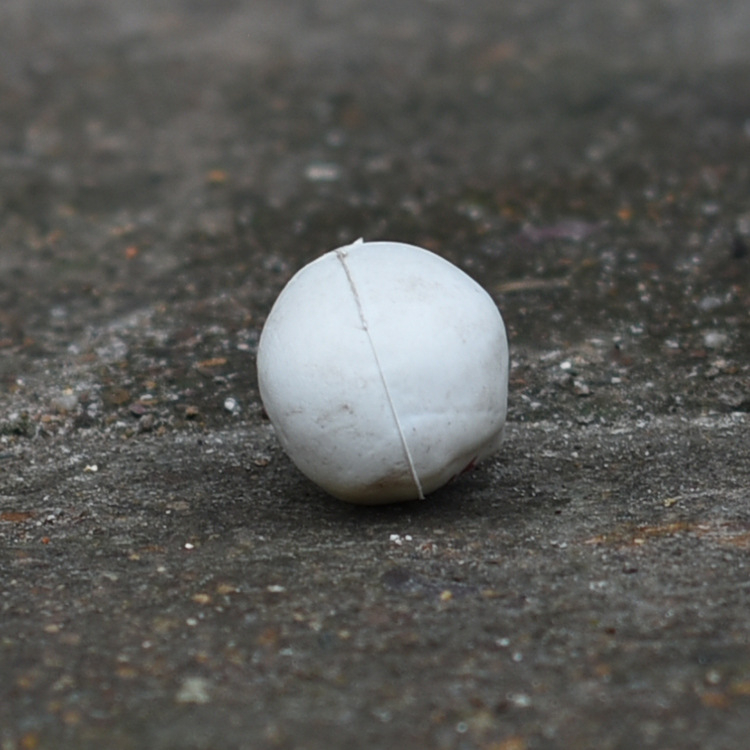 Craniu decorativ pentru scene de casă bântuită – plastic, stil horror, recuzită de scenă