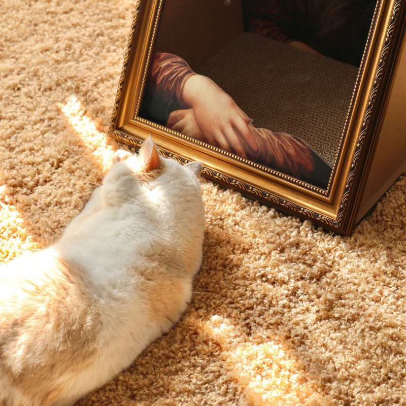 Πίνακας γρατσουνίσματος γάτας με φωλιά και πλαίσιο φωτογραφιών, σχεδίαση εμπνευσμένη από λαδογραφία, ανθεκτικός στις γρατσουνιές, χωρίς αποκόλληση τρίχων, παχύτερη κεραμίδα (Μάρκα: Άλλο; Υλικό: Άλλο; Ποσότητα σε κουτί: Άλλο; Στυλ: Γλυκό)