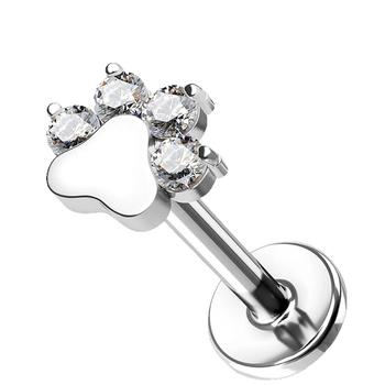 Lip-stud fülbevalók (G23 titán; sík hátsó rész; menet nélkül; kutya tappancs lenyomat; porc piercing)