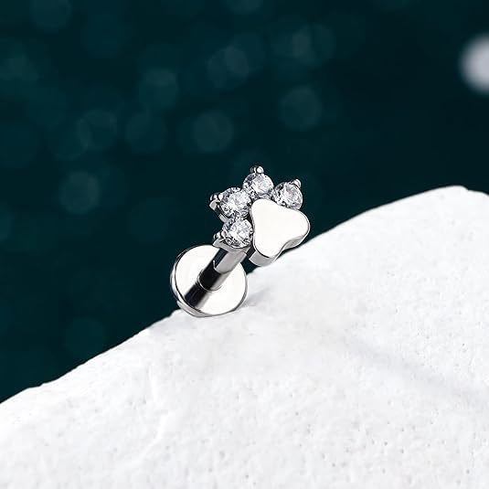 Lip-stud fülbevalók (G23 titán; sík hátsó rész; menet nélkül; kutya tappancs lenyomat; porc piercing)