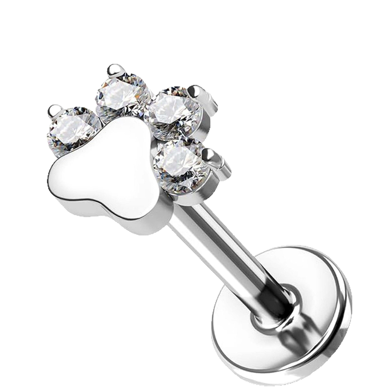 Lip-stud fülbevalók (G23 titán; sík hátsó rész; menet nélkül; kutya tappancs lenyomat; porc piercing)