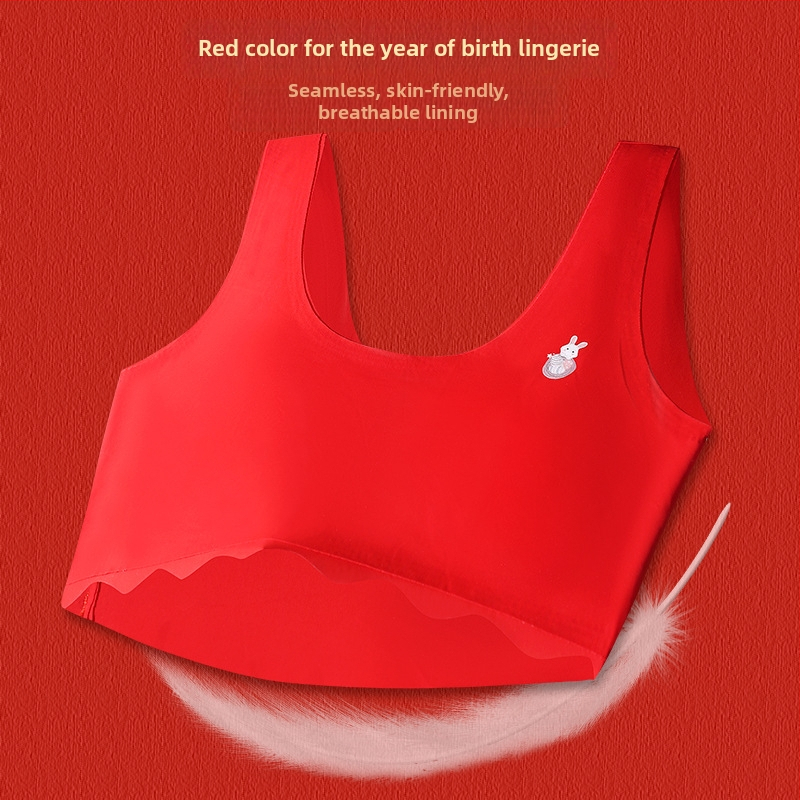 Športová podprsenka pre dievčatá 12–15 rokov, pevné dvojité ramienka, plný košík s tenkou tvarovanou výstuhou, hlavný materiál: nylon, podšívka: nylon, košík z bavlny, vzdušný a odvádza pot
