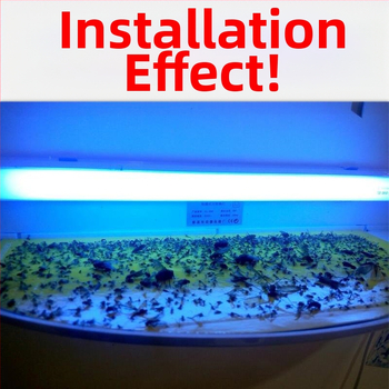 Stalinė lipdinio gaudyklė komarams, skirta restoranams ir viešbučiams, UV šviesos gaudyklė, 61 m²+ dengiamas plotas, ABS korpusas, 1 metų garantija