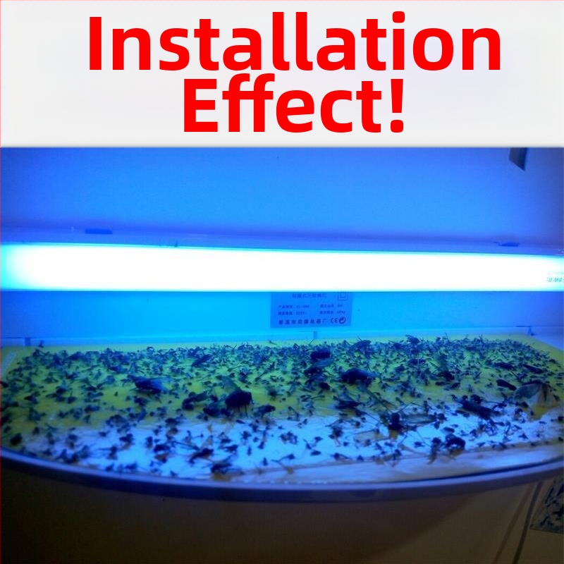 Stalinė lipdinio gaudyklė komarams, skirta restoranams ir viešbučiams, UV šviesos gaudyklė, 61 m²+ dengiamas plotas, ABS korpusas, 1 metų garantija