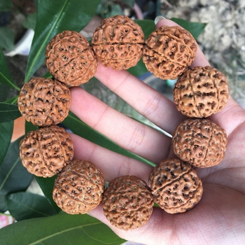Rudraksha narukvica s 58 perlica, 10 mm promjer