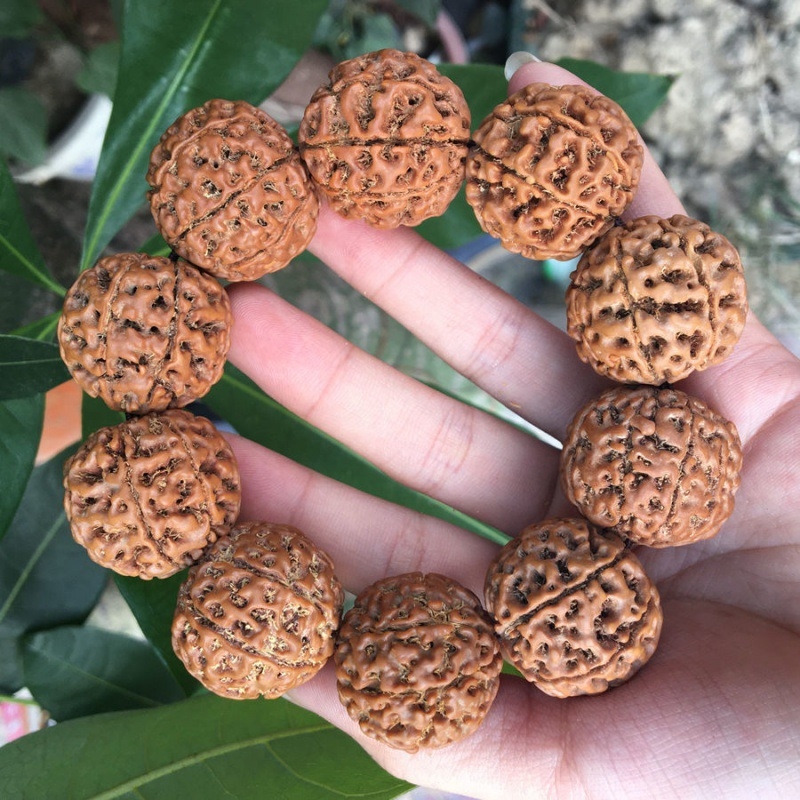 Rudraksha narukvica s 58 perlica, 10 mm promjer