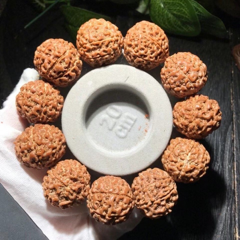 Rudraksha narukvica s 58 perlica, 10 mm promjer