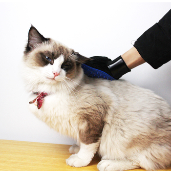 Kla Cool Pet Kutya fürdető és masszázs kefe – műanyag