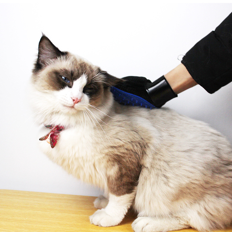 Kla Cool Pet Kutya fürdető és masszázs kefe – műanyag