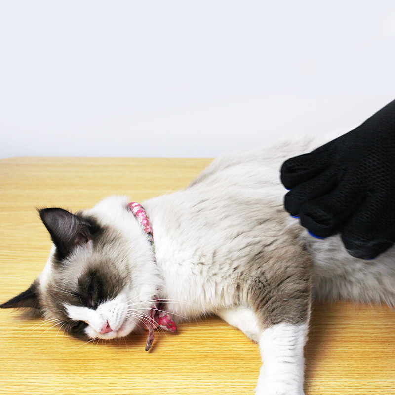 Kla Cool Pet Kutya fürdető és masszázs kefe – műanyag