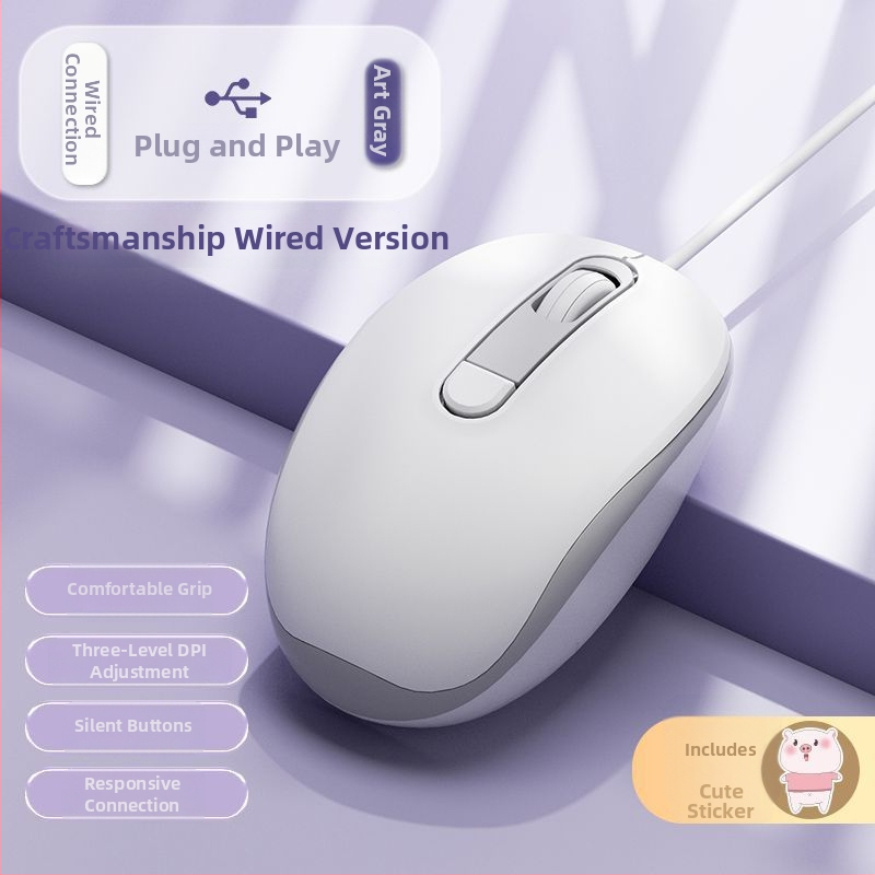 Tyli laidinė optinė pelė USB, 2 mygtukai