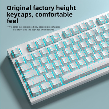 LT84 laidinis mechaninis klaviatūros ir pelės rinkinys — USB, skaitmeninė klaviatūra