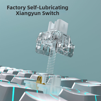 LT84 laidinis mechaninis klaviatūros ir pelės rinkinys — USB, skaitmeninė klaviatūra